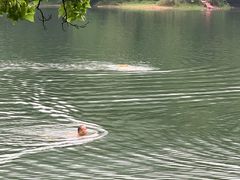 -紫霞湖公园