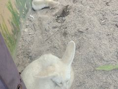 -灵玲国际马戏城