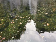 -尧山风景区