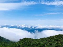 -大围山国家森林公园