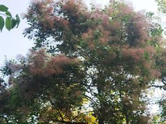 -河南省黄河迎宾馆