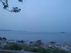 android_upload_pic-野狸岛