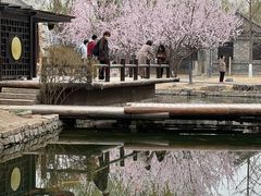 -春风习习