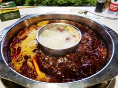 -枇杷园食为鲜火锅(南山店)