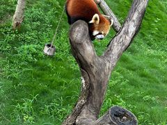 -南京金牛湖风景区