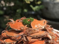 -浙C老邻舍(西城海错店)