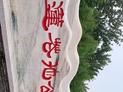 -莲花池公园