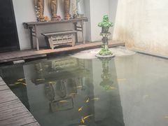-觀芷隐轩