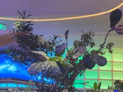 -桂满陇·蟹黄小笼汤包(清河万象店)