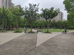 -新江湾城公园