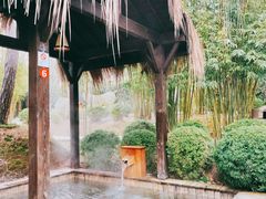 -崇阳三特浪口温泉