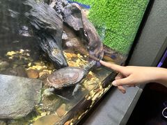 -上海海洋水族馆