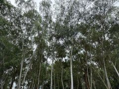 -福建鲤鱼洲酒店
