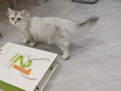 -瑞鹏宠物医院·微创内窥镜·骨外科·牙科(翠竹分院)