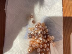 -十八字金·银饰·开蚌DIY·手工体验团建(魏公芳华里店)