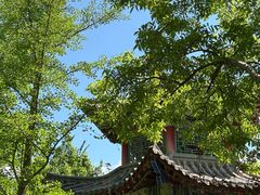 -燕郊植物园