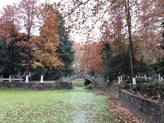 -安徽大学(龙河校区)