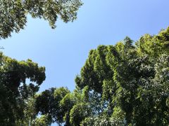 -树山生态村