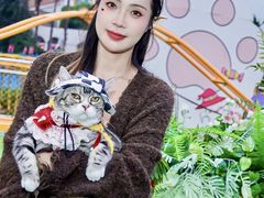 -成都欢乐谷