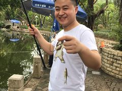 -人民公园(罗湖区)