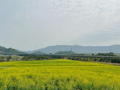 -光明小镇欢乐田园
