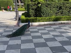 -丽池公园