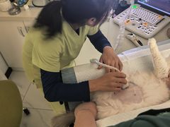 -艾吉宠物医院·疑难杂症转诊中心·猫友好(碧江路院)
