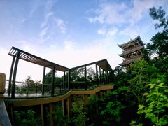 -清溪森林公园