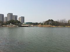 -新江湾城公园