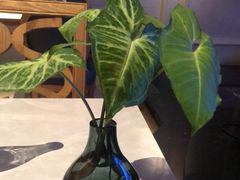 -Mezomd曼索蒂西班牙餐厅(广粤店)