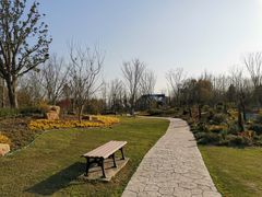 -上海长兴岛郊野公园