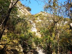 -大岭沟猕猴桃谷风景区