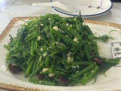 -张记荞面馆