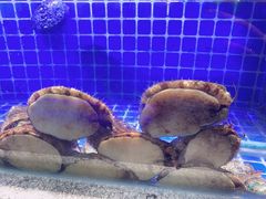 -鸽子侯·家宴·平价海鲜(绿地店)