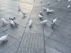 -万达广场(广州番禺店)