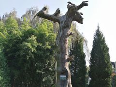 -终南山古楼观历史文化景区