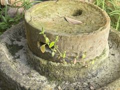 -仙店农庄(湖景农庄餐厅)