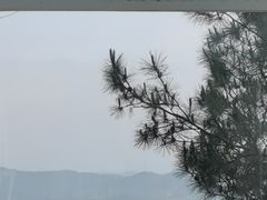 -南丹山森林王国