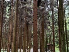 -娄山关景区
