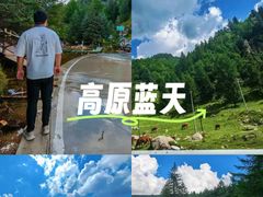 -芦芽山旅游度假区