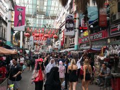 -罗汉果龙眼冰糖燉冬瓜