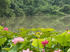 -金山公园