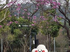 -中山市树木园