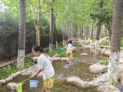 -静之湖湖畔餐厅