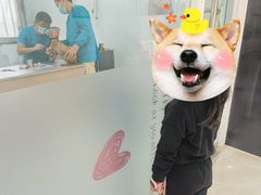 -荔康动物医院(康王北路店)