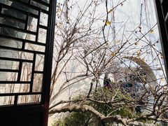 -艺圃