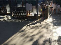 -春晖园度假酒店温泉