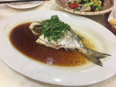 -有腥气私房菜·寻味顺德