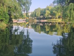 -新江湾城公园