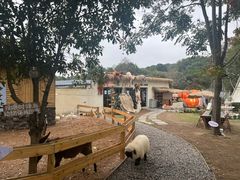 -HERRE·FARM 赫尔露营农场·团建聚会包场